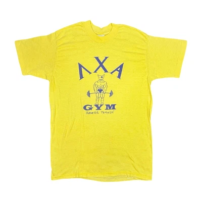 Camiseta De Colección Stedman Lambda Chi Alpha Fraternidad Gimnasio Cuello Redondo Talla Grande Preppy Foto 1 de 4