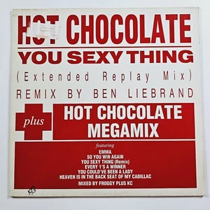 Hot Chocolate – You Sexy Thing (EXTENDED REPLAY MIX) - VINYL 12" LP - Bild 1 von 2