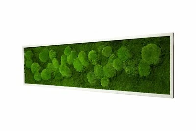 Moosbild Fifty Fifty Design kaufen Moos Pflanzenbild Oster Dekoration - Bild 1 von 4