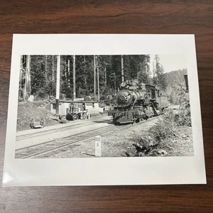 Impresión fotográfica rara de ferrocarril de tala de depósito de Cochran Oregon ~ histórica ciudad fantasma - Imagen 1 de 2