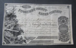 1862 TUOLUMNE COUNTY WATER COMPANY Stock Certificate - COLUMBIA CA. - GOLD RUSH - Picture 1 of 1