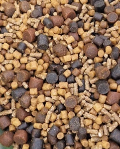 Aromatisiertes gemischtes Karpfenpellet - Garnelen & Garnelen, Blaukäse, würzige Wurst & mehr - Bild 1 von 1