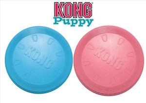 kong flying disc