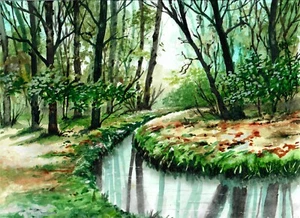 Creek attraverso la foresta, arte forestale, bellissimi alberi, Forest Creek - Foto 1 di 1
