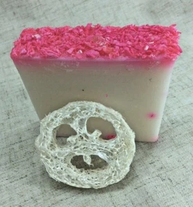 Vegan,Cruelty Free Soap Bar 95g with 1cm Loofah Soap Drier - Coconut Dream - Picture 1 of 9