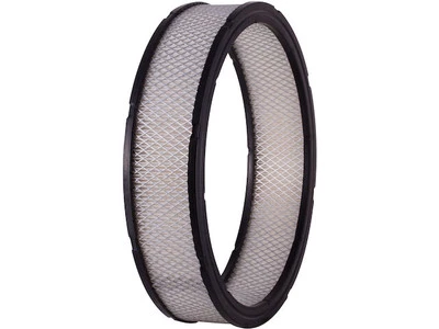 Filtro de aire Premium Guard 44369WHND 1976 para Pontiac Grand LeMans 1975-1977 Foto 1 de 2