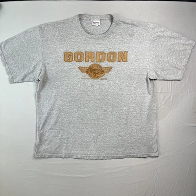 Camiseta De Colección Jeff Gordon Para Hombres 2X-Grande Gris NASCAR Persecución Auténtica Envejecida Foto 1 de 4