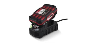 Parkside® 20 V Akku Ersatzakku 2 Ah »PAP 20 B1« und Ladegerät 2,4 A »PLG 20 C1« - Bild 1 von 3