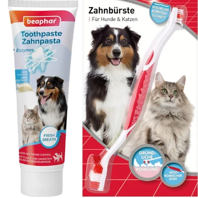 Beaphar Dog-a-dent Hundezahnpasta Katzenzahnpasta Zahnpflege Lebergeschmack 100g