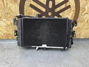 Triumph Tiger 800 XRX Radiator & Fan - Picture 1 of 4
