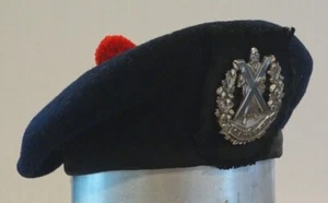 INSIGNIAS DE GORRA MILITAR BRITÁNICA, Dominio de la Reina Cameron Highlanders Tam & Insignia - Imagen 1 de 5