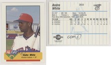1994 Fleer ProCards Minor League Andre White #2659