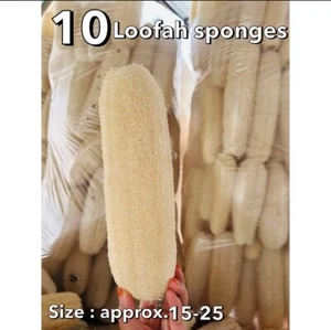 10 Natural Loofah Sponges Real Organic Luffa Bath Shower Exfoliating Body Scrubb - Picture 1 of 4