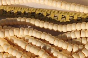 9x6mm Crow Cream White Buffalo Bone Beads Jewelry Making Crafts /70 beads - Picture 1 of 2