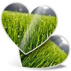 2 x Heart Stickers 15 cm - Cool Morning Dew Grass Nature #13063