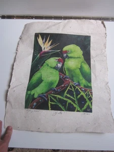 Vintage Tropical Papagei PAAR TITEL SPRECHENDE LIEBHABER DRUCK #21 SIGNIERT GALLI - Bild 1 von 5
