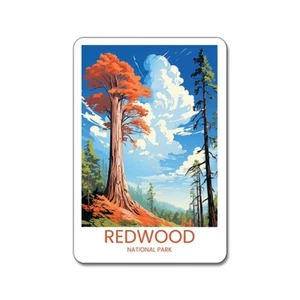 Redwood National Park - Travel Magnet - Picture 1 of 2