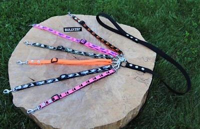 BULLYZEI Koppel-Leine erweiterbar, verstellbar Gr.S, 15mm, für mehrere Hunde Dogwalker