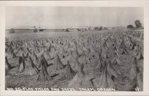 Salem, OR: Flax Fields and Sheds RPPC, Vintage Oregon Real Photo Postcard - Picture 1 of 2