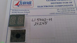 PANTALLA ALFANUMÉRICA DE DOBLE DÍGITO LEDTECH LI5442-11 14 mm contratada lote de 4 piezas - Imagen 1 de 4