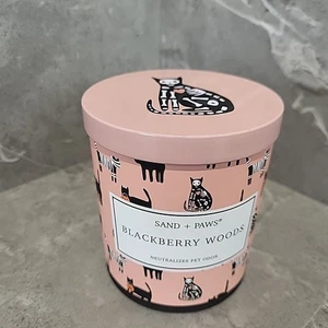 Sand + Paws Blackberry Woods  Halloween Candle Neutralizer Pet Odor Skull Cat  - Picture 1 of 7