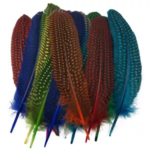 12 Colour Dyed Hen Feathers 15-20cm Natural Chicken Plume For Crafts DIY Table - Picture 1 of 24