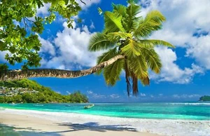 ART24-Photo Wall Mural-PALMS BEACH-(019-Q)-NON WOVEN-Wallpaper-Dune Sand Sun XXL - Picture 1 of 6