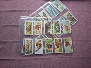 COMPLETE SET - NABISCO (CANADA) - EXOTIC ANIMALS  (24 CARDS)  VG - Picture 1 of 7
