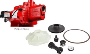 305584007 Overhaul Kit for RJS-75-PREM 3/4 HP Shallow Well Jet Pump, Natural - Picture 1 of 4