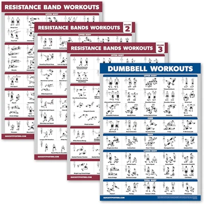 PALACE LEARNING Resistance Bands Workout Posters Volume 1, 2 & 3 + Dumbbell Exercise Chart, 4 Pa