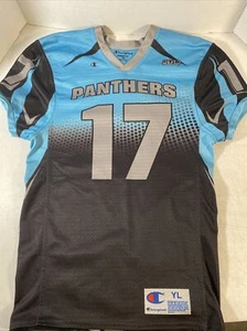 youth large Carolina Panthers jersey Champion number 17 Welcome To The Hub - Picture 1 of 15