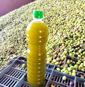 1,5 litros de aceite de oliva fresco Palestina Qitaf 100 %لتر ونص زيت زيتون بلدي فلسطيني - Imagen 1 de 19