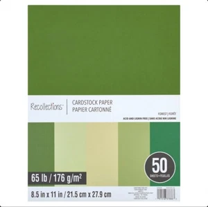 Recollection Cardstock 65lbs 8.5 X 11 - Picture 1 of 1