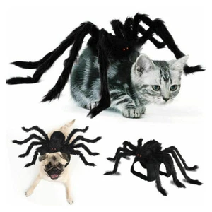 Halloween Tier Haustier Hund Katze Spinne Vampir Kostüm Outfit Decor Schwarz - Bild 1 von 21