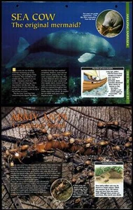 Sea Cow / Army Ants #27 Amazing Animals, Animals, Animals Fact File Page - Picture 1 of 1