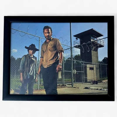 THE WALKING DEAD - 12x16" Glass Framed HQ Print (2013 AMC Poster Collection) #16 - Image 1 of 4