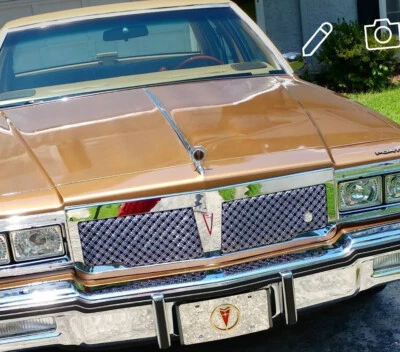 Pontiac Parisienne 1981-1986 cromo triple tejido malla parrilla Tiarra emblema Foto 1 de 4