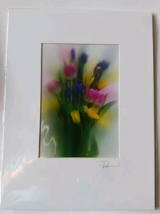 Iris Tulip Daffodil Signed Photo In Mat Soft Focus 12x9 Inches - Picture 1 of 4
