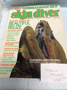 Skin Diver Magazine-August 1991-SHIPS FREE !!!! - Picture 1 of 3
