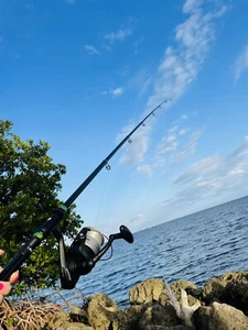 FISHEROX 🎣 Ultra Lightweight Carbon Fiber Fishing Rod - 8’ - Picture 1 of 12