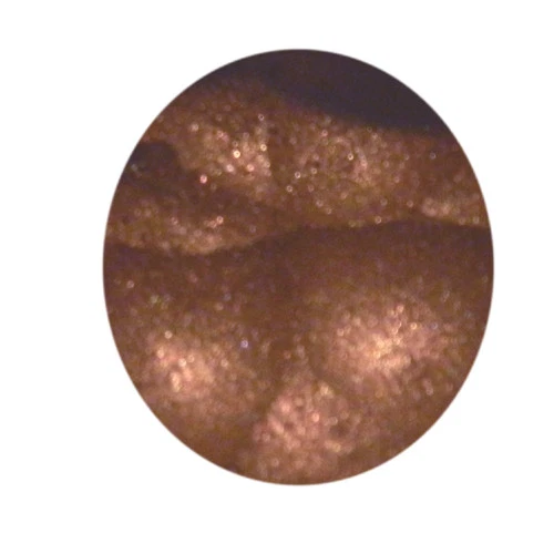 PURE ESSENTIALS BARE EYE SHADOW MINERALS/LINER - SWISS CHOCOLATE- 10G Sifter Jar - Image 1 of 1