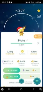 ✨ Seltene Shiny Baby Pichu Weihnachtsmütze ✨ Pokémon Go Trade | PoGo - Bild 1 von 1