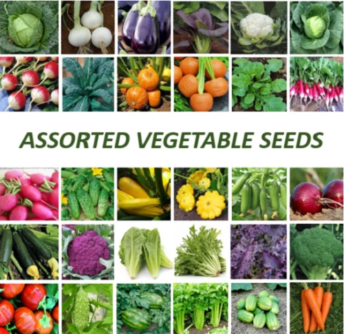 Choose Your Garden ASSORTED VEGETABLE SEEDS Vegetable Seed Varieties - Image 1 of 1