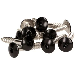 100 x MEISTERLING® FASSADENSCHRAUBEN INOX V4A 5,5 x 25 MM FLACHKOPF TORX SCHWARZ - Bild 1 von 5