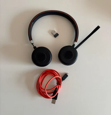 Jabra Evolve 65 Cuffie Sovrauricolari - Nero/Argento (‎6599-829-409) - Immagine 1 di 4