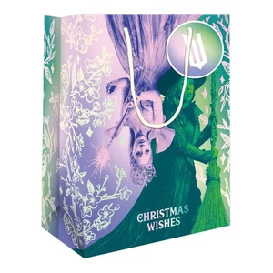 Wicked Christmas Gift Bag Medium with Handles FSC Accredited - Picture 1 of 3