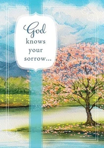 SYMPATHY SCRIPTURE CARDS: Tranquility Themed [Box of 12] - Picture 1 of 9