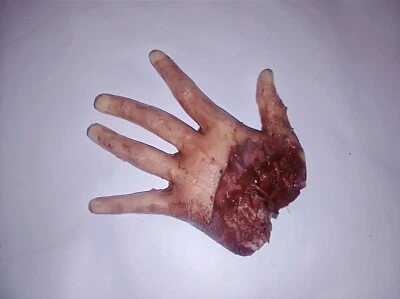Silicone HORROR PROP severed female hand movie quality gore blood zombie dead  - Image 1 of 3