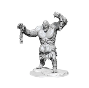 Dungeons & Dragons Nolzur's Marvelous Miniatures: Cyclops NIB Free Shipping - Picture 1 of 1