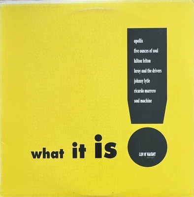 Various – What It Is! - Luv N' Haight Records - USA 1993 - Bild 1 von 3